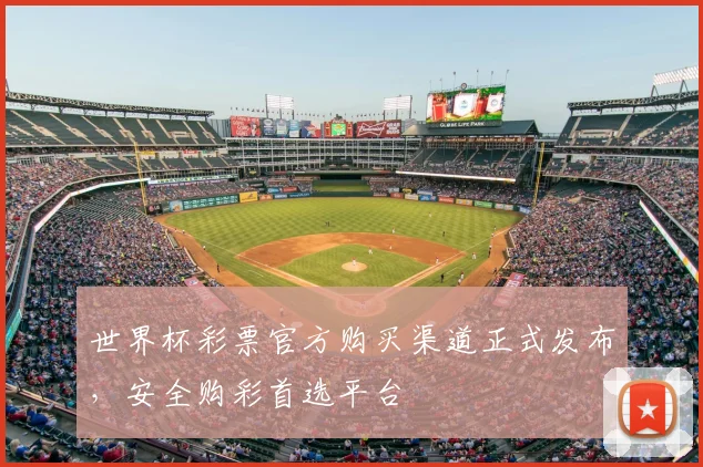 世界杯彩票官方购买渠道正式发布，安全购彩首选平台