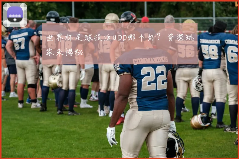 世界杯足球投注app哪个好?资深玩家来揭秘