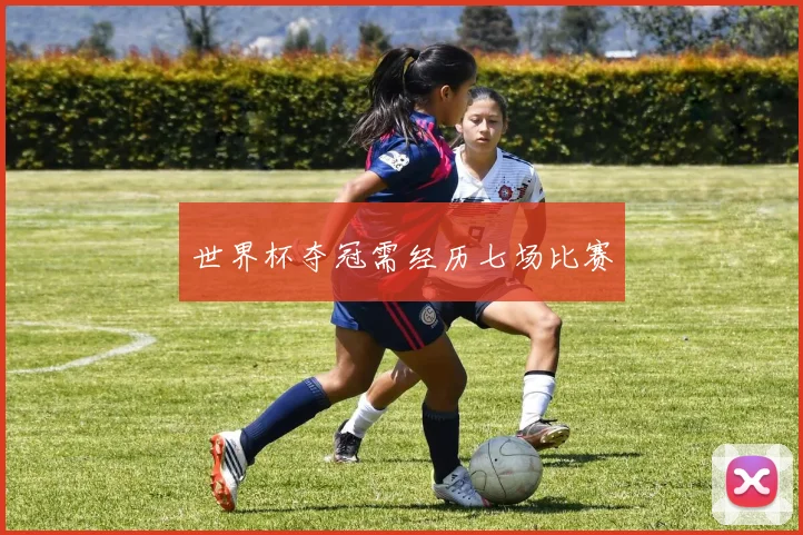 世界杯夺冠需经历七场比赛