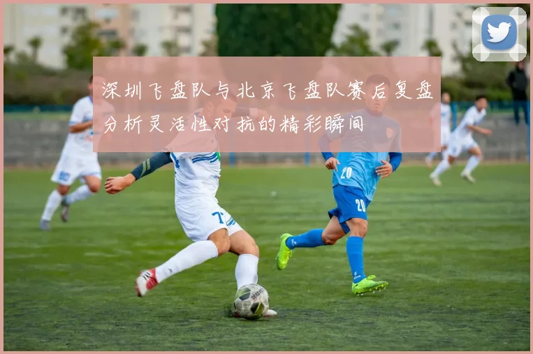 深圳飞盘队与北京飞盘队赛后复盘分析灵活性对抗的精彩瞬间