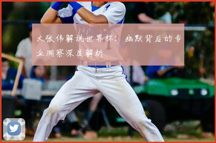 大张伟解说世界杯:幽默背后的专业洞察深度解析