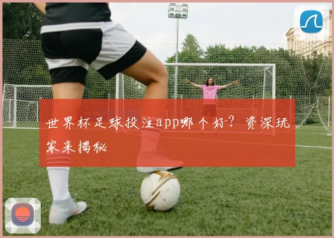 世界杯足球投注app哪个好?资深玩家来揭秘