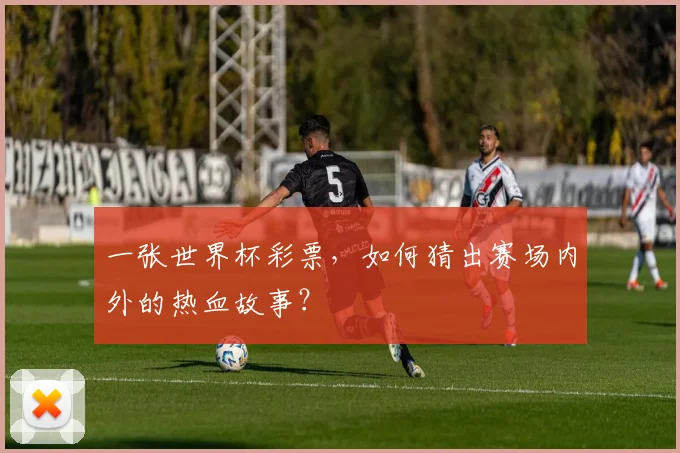 一张世界杯彩票,如何猜出赛场内外的热血故事?
