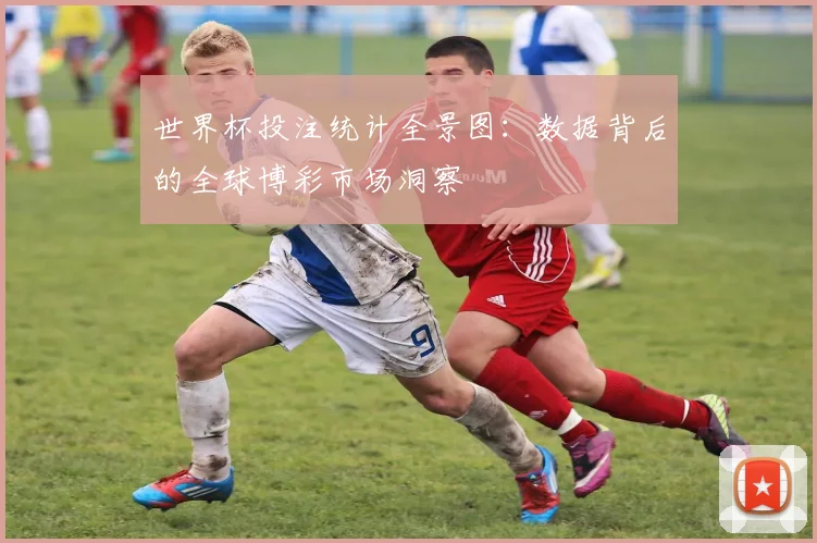 世界杯投注统计全景图：数据背后的全球博彩市场洞察
